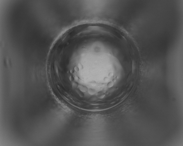 X0000052731416200507141534.png