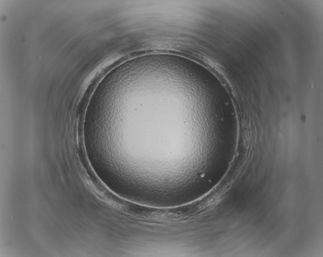 X0000054650987200508091637.png