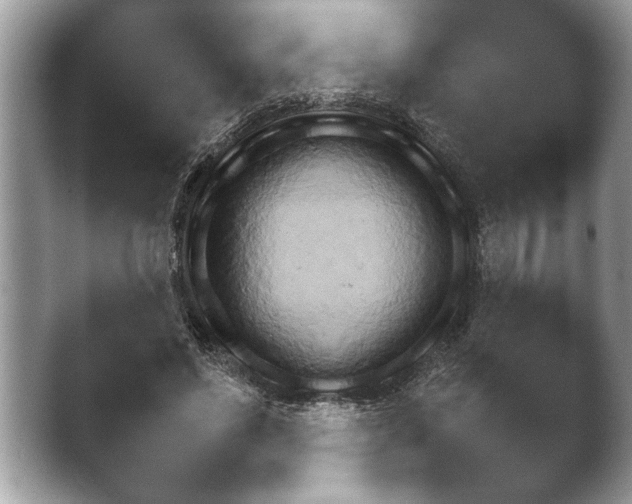 X0000042170494200411151554.png