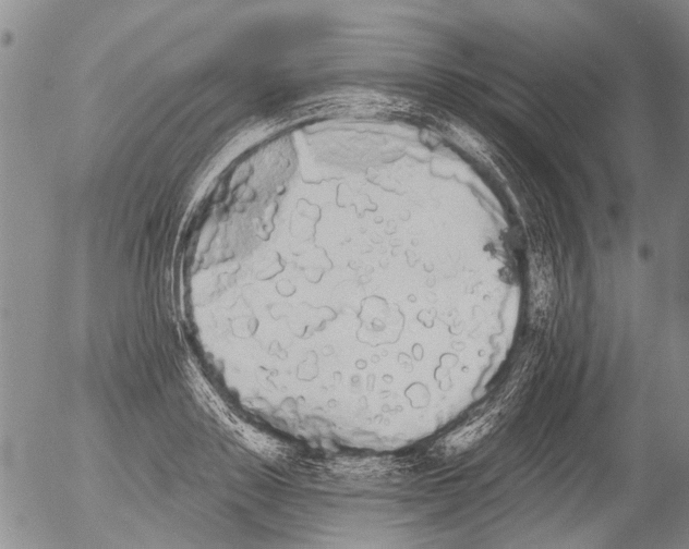 X0000054580843200508300058.png