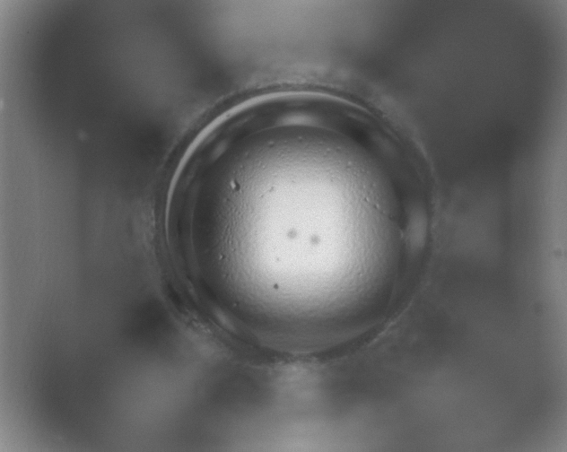 X0000054110107200508022109.png