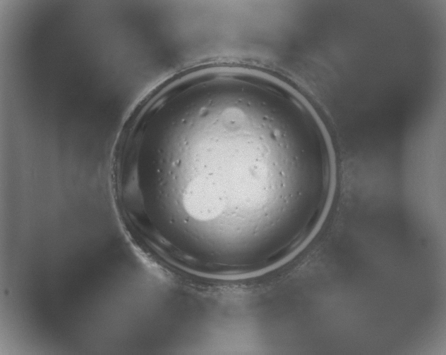 X0000054971042200509051459.png