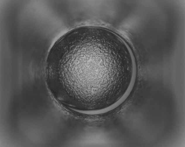 X0000040561146200411021422.png