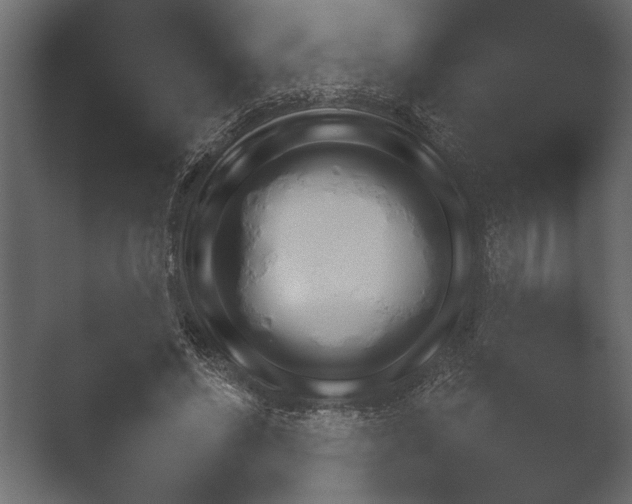 X0000052730494200507141549.png