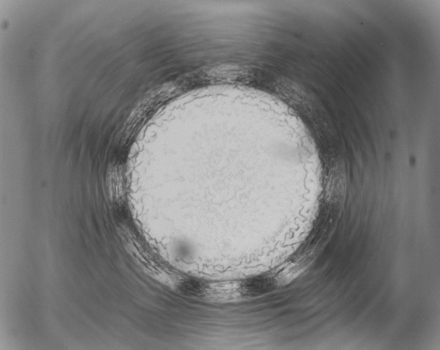 X0000054580335200508300107.png