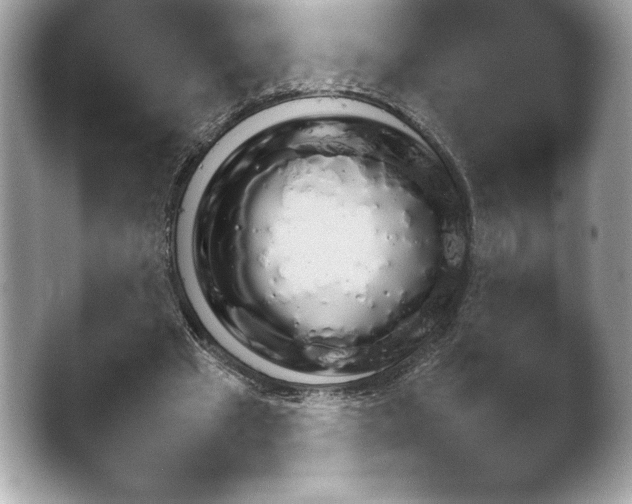X0000043780441200412291330.png