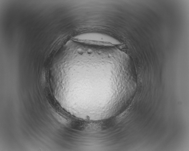 X0000055210166200508301331.png