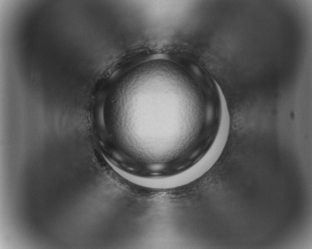 X0000041230470200411182048.png