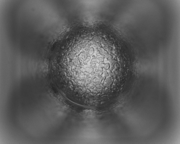 X0000040730699200410201651.png