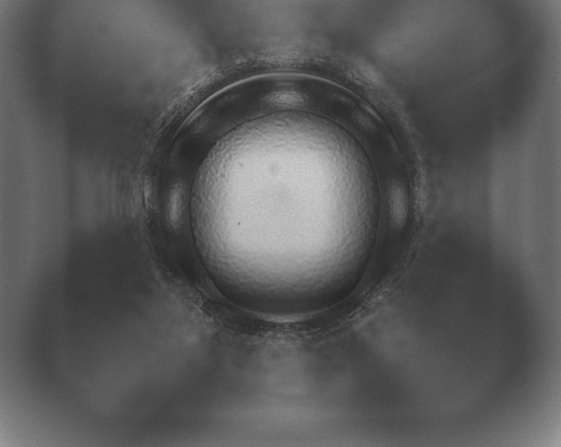 X0000038920115200409291016.png
