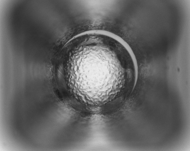 X0000043780654200412291327.png