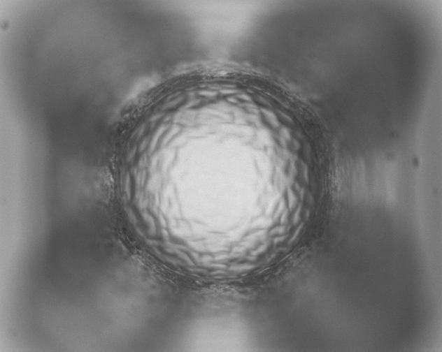 X0000052121446200507262039.png