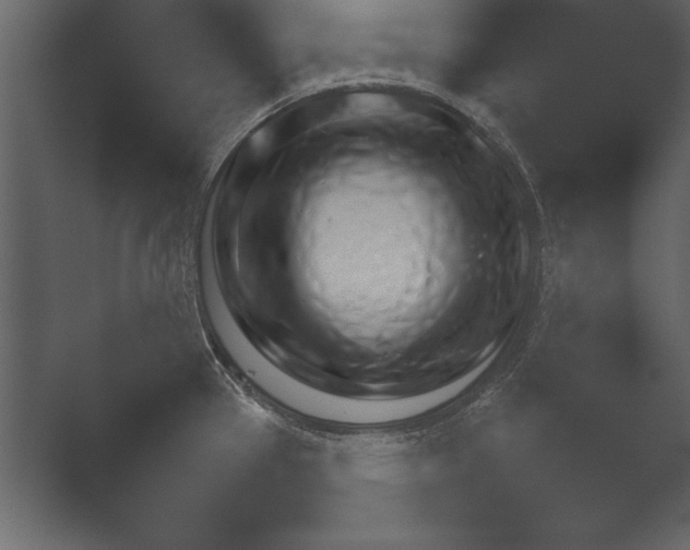 X0000052731337200507141535.png