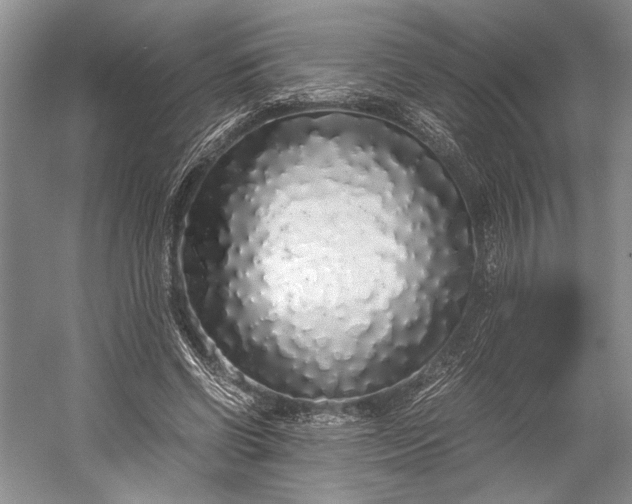 X0000055060542200508161648.png