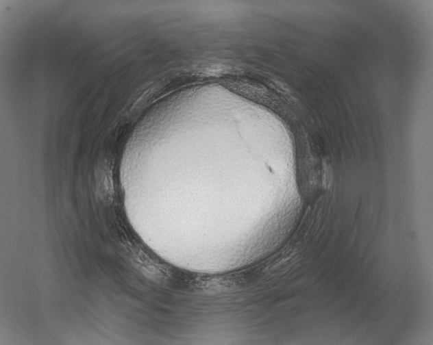 X0000055211155200508301314.png