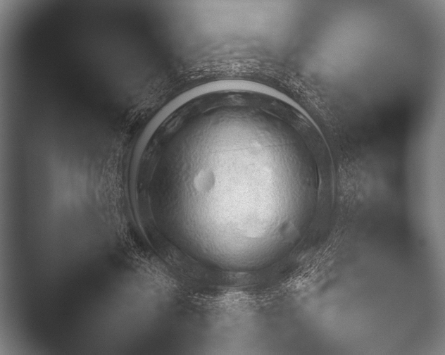 X0000052020357200507181632.png