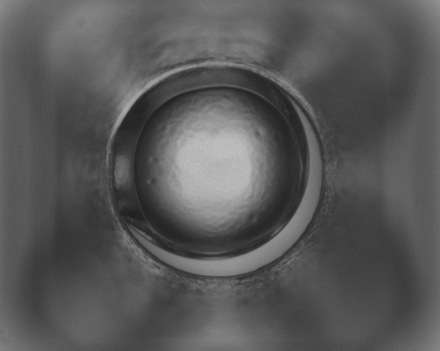 X0000040561532200411021415.png