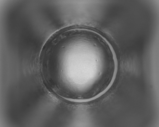 X0000052280924200507132024.png