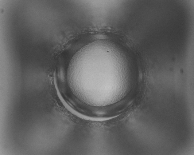 X0000050880770200507051506.png