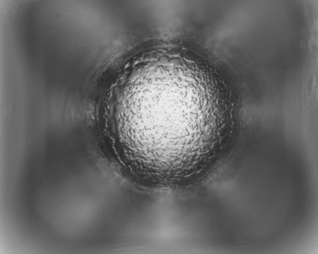X0000040730236200410201659.png