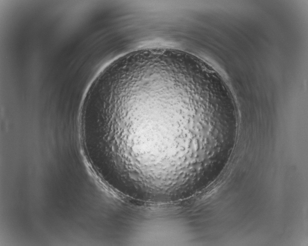 X0000055061008200508161641.png