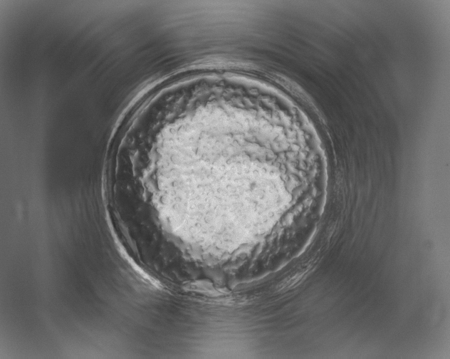 X0000055210855200508301320.png