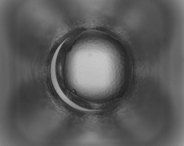X0000040560491200411021432.png