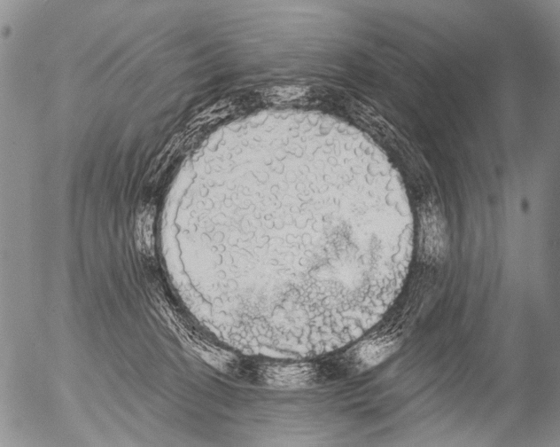 X0000054580274200508300108.png