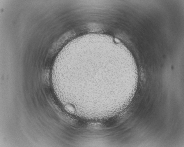 X0000054580066200508300111.png