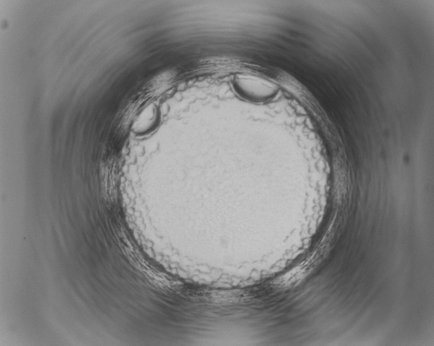 X0000054580857200508300059.png