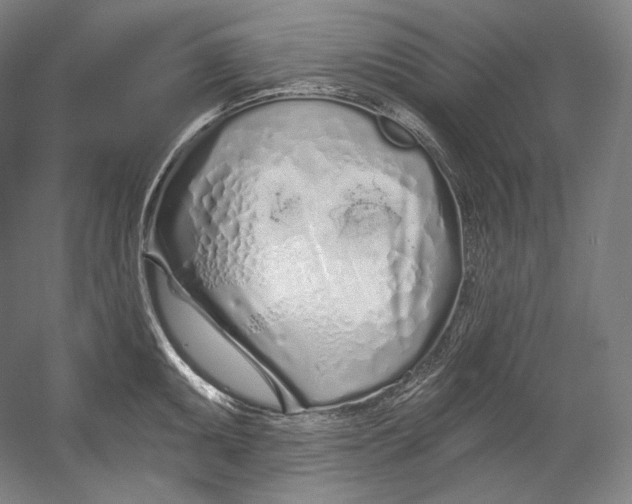 X0000055211095200508301315.png