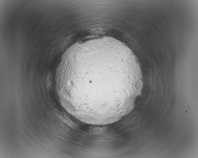 X0000055210081200508301333.png
