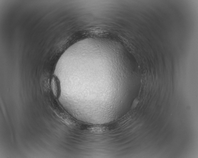 X0000055210615200508301323.png