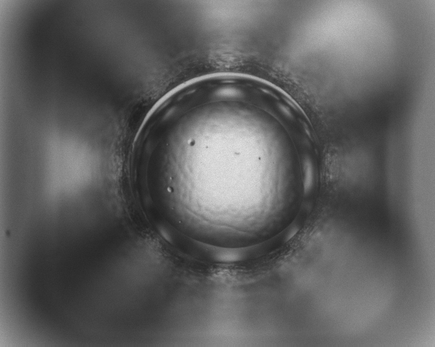X0000044150315200412271301.png