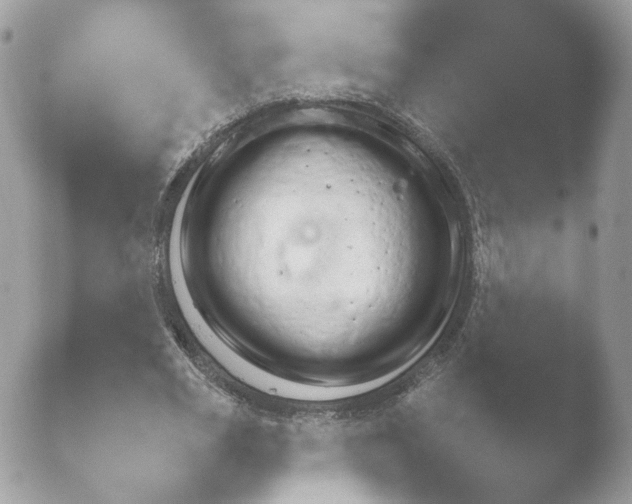 X0000052120725200507262051.png