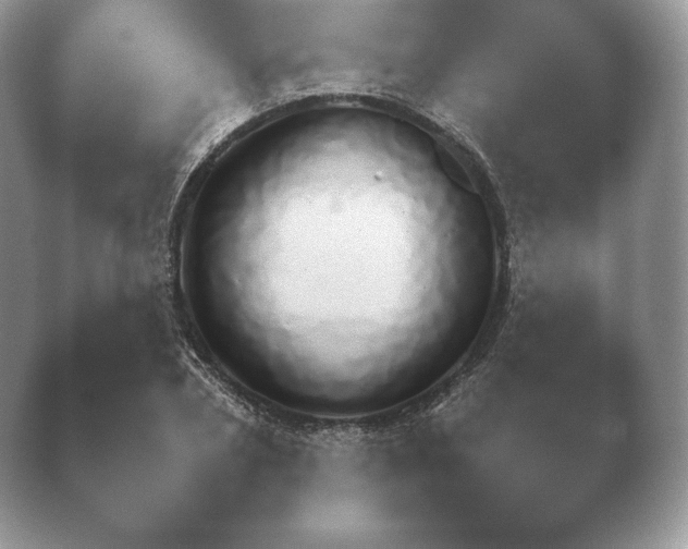 X0000040730882200410201648.png