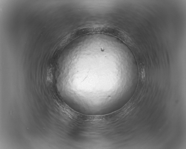 X0000055061204200508161636.png