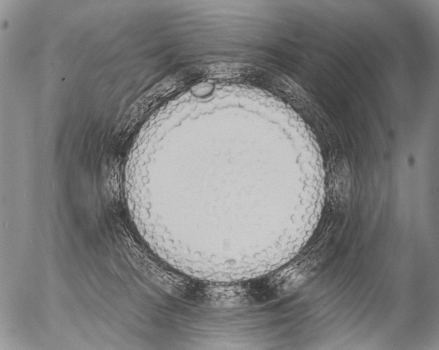 X0000054580277200508300108.png