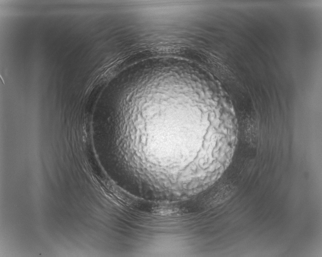 X0000055060746200508161645.png