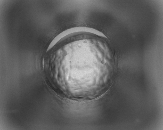 X0000054970047200509051515.png