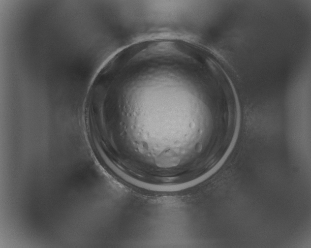 X0000052731476200507141533.png