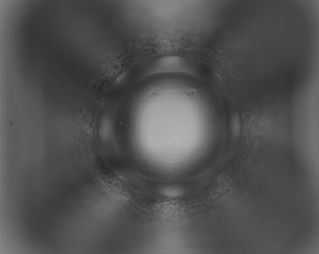 X0000052730655200507141547.png