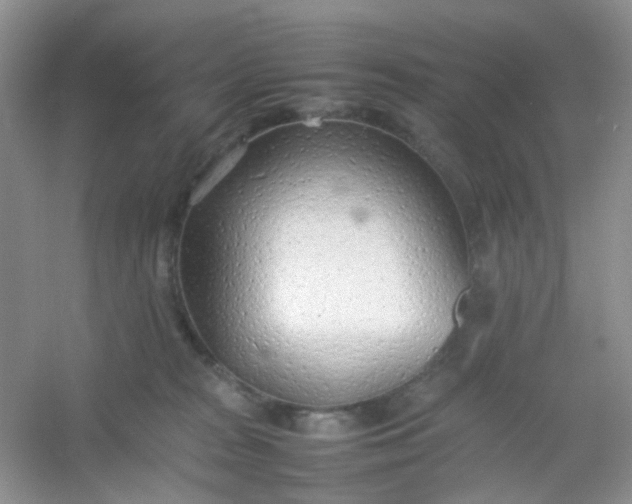 X0000054330277200508111927.png