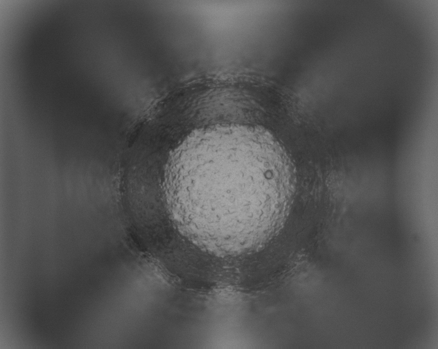 X0000051540668200506281740.png