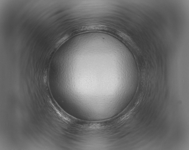 X0000055210841200508301320.png