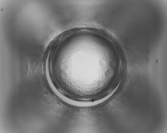 X0000052121267200507262042.png