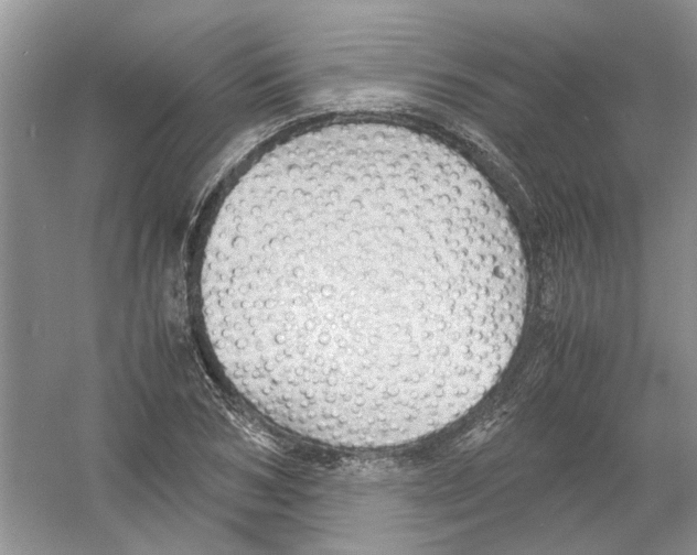 X0000054270978200508261911.png