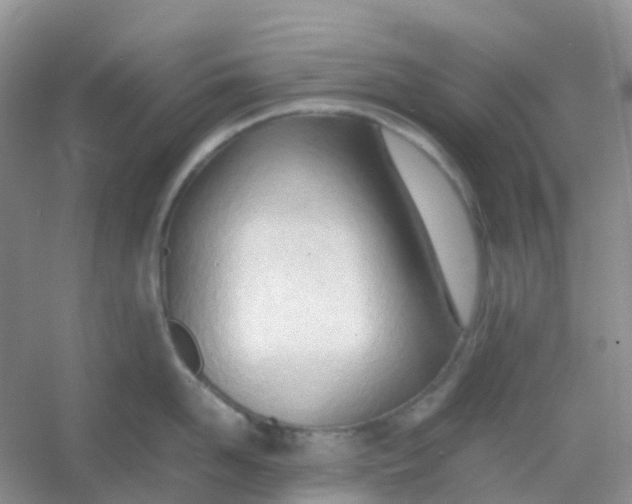 X0000054330958200508111915.png