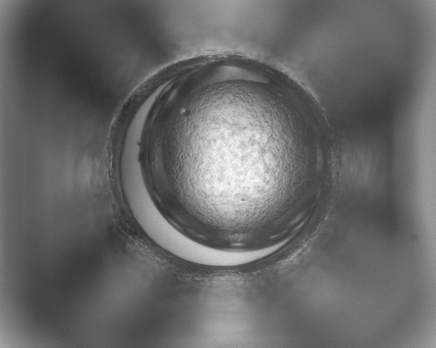 X0000052451021200507211308.png
