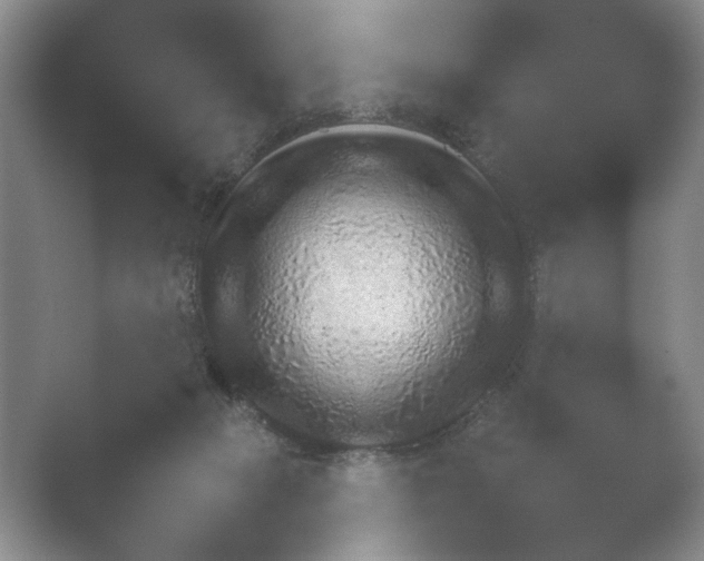 X0000052150073200507052002.png